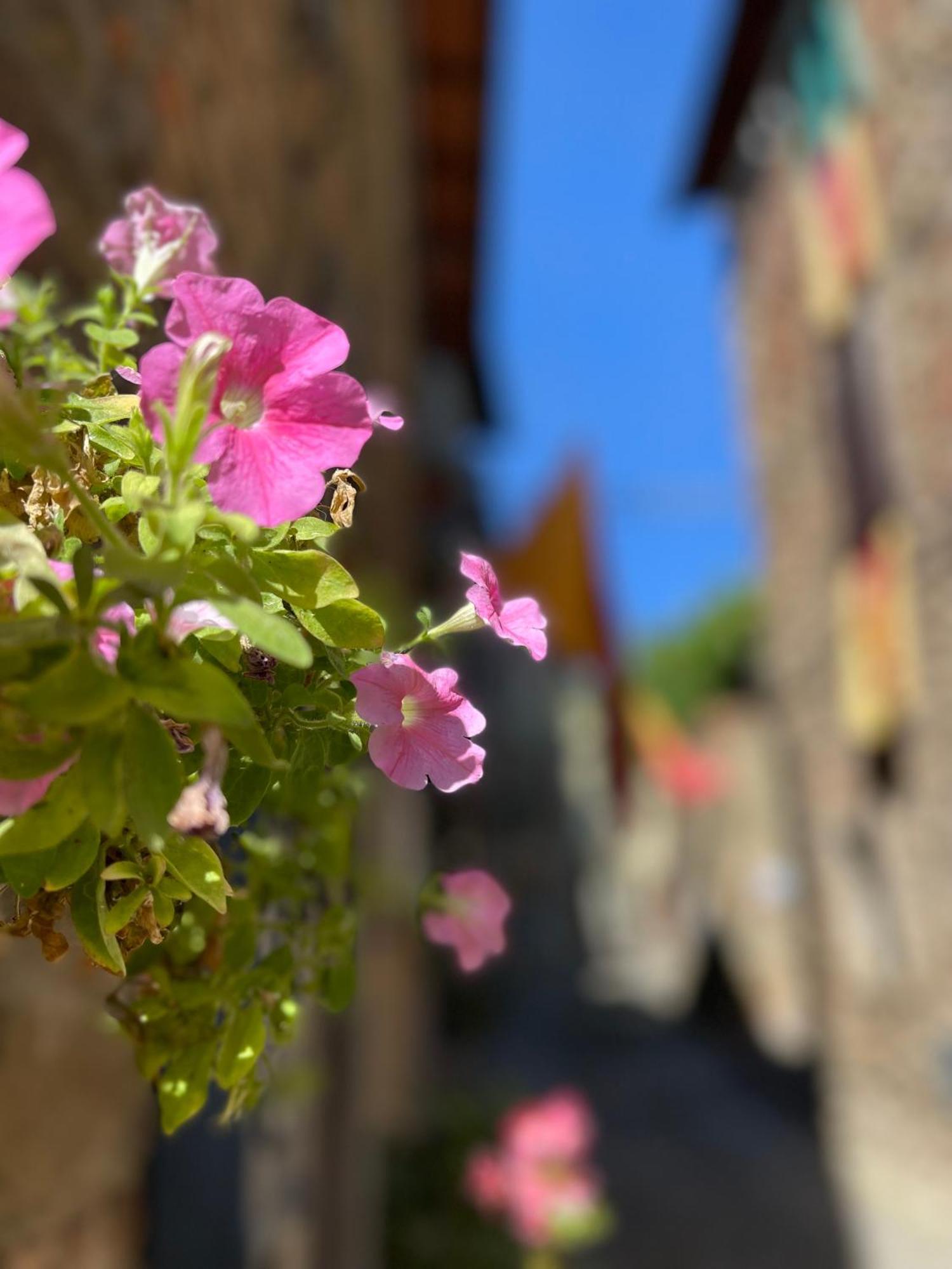 Vila La Casa In Castello Ambra Exteriér fotografie